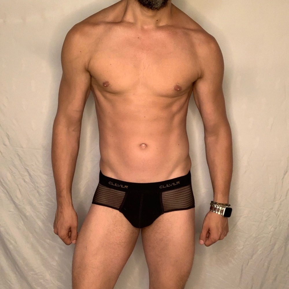 Clever Mesh Panel Briefs